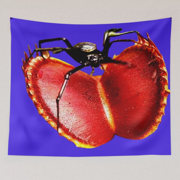 Item preview, Venus Fly Trap Artwork  designed and sold by 3triadstore.