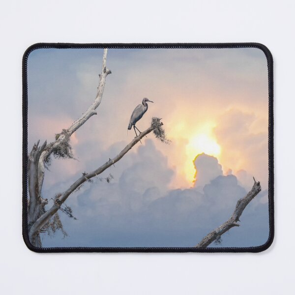 Item preview, Blue Heron Sitting on treetop during lightning storm in Cedar Key Florida designed and sold by ncNatureVisions.