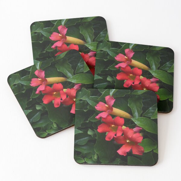 Item preview, Three Beauties designed and sold by heatherfriedman.