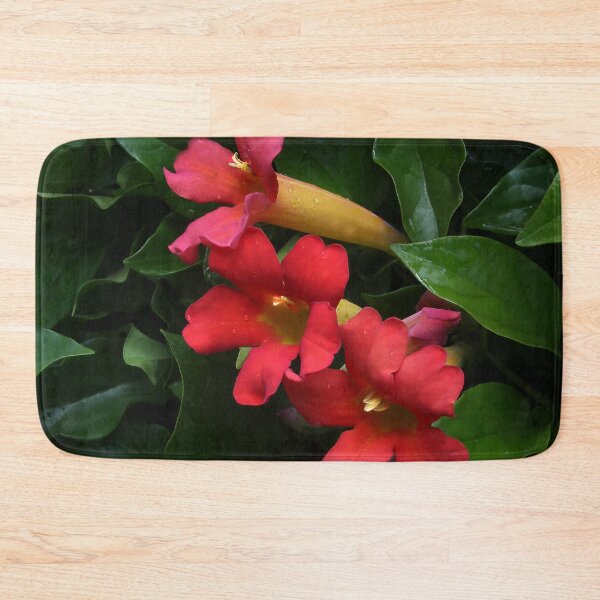 Item preview, Three Beauties designed and sold by heatherfriedman.