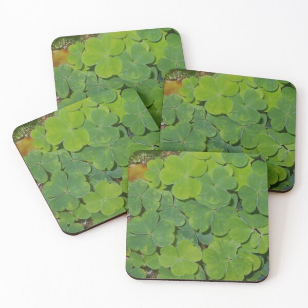 Item preview, Clover in a forest in the Rhön designed and sold by Ekirlufly.