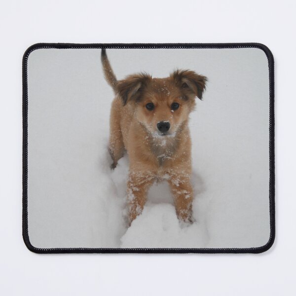 Item preview, little puppy in the snow designed and sold by Ekirlufly.