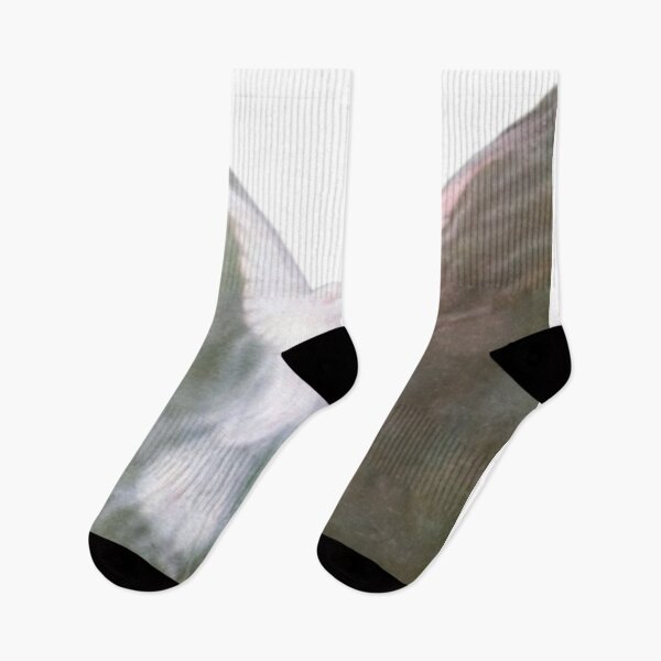 Item preview, ELP designed and sold by envycollection.