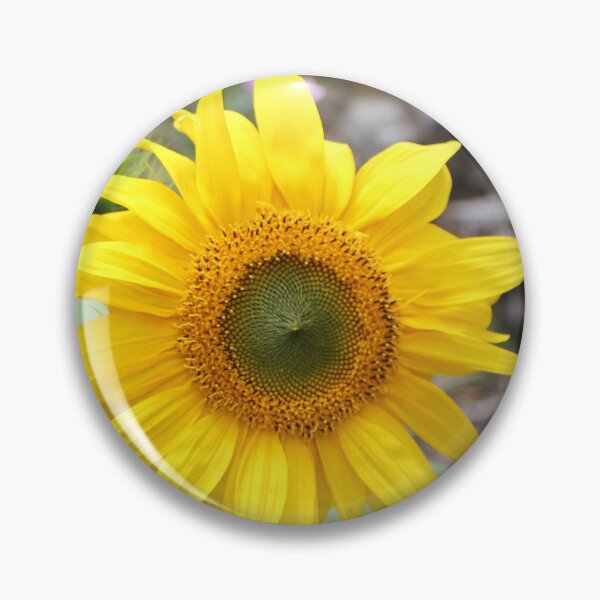 Item preview, Sunflower designed and sold by Russell-art88.
