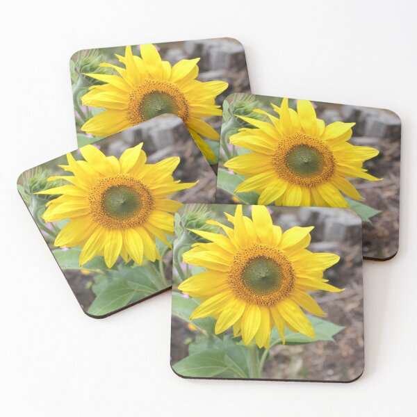 Item preview, Sunflower designed and sold by Russell-art88.