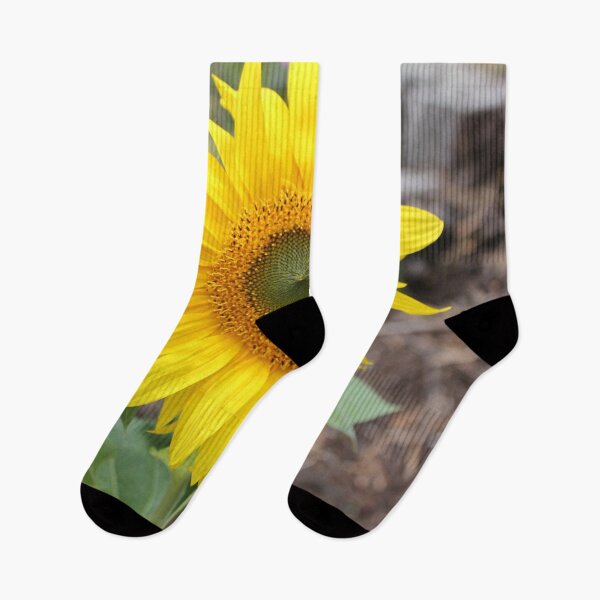 Item preview, Sunflower designed and sold by Russell-art88.