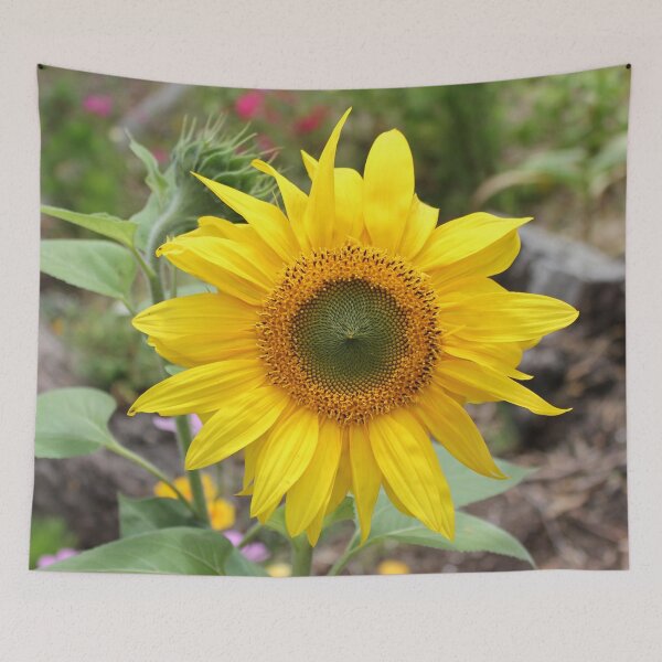 Item preview, Sunflower designed and sold by Russell-art88.
