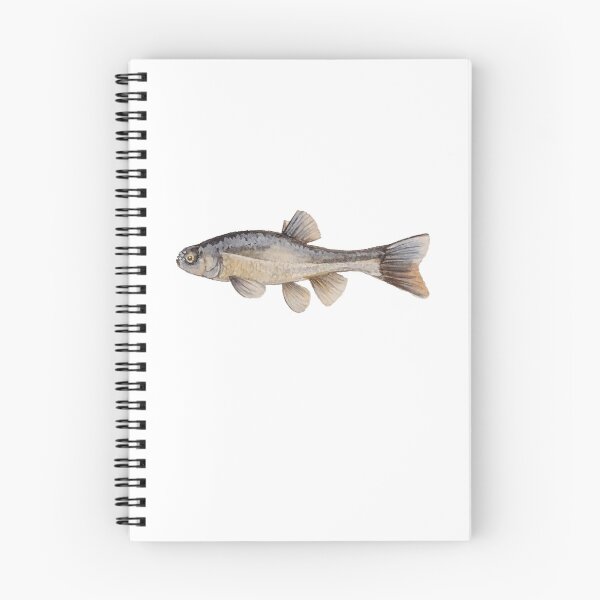 Item preview, Fathead minnow designed and sold by SpottedTarn.
