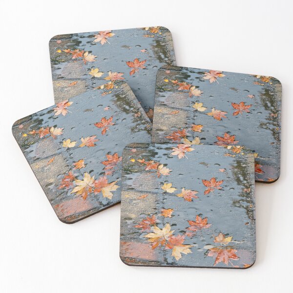 Item preview, Autumn Rain Reflections designed and sold by PanoramaPrints.
