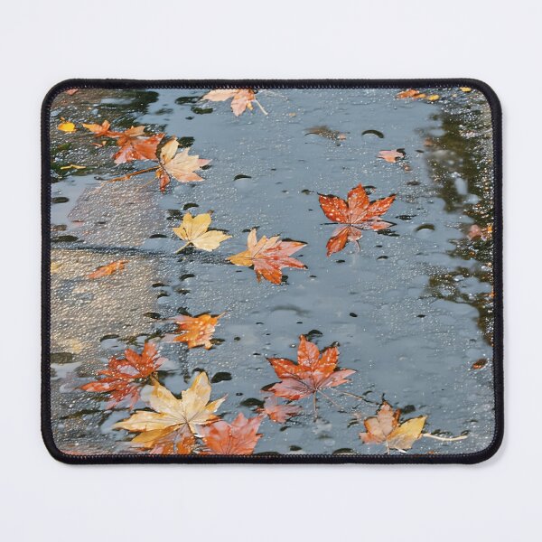 Item preview, Autumn Rain Reflections designed and sold by PanoramaPrints.