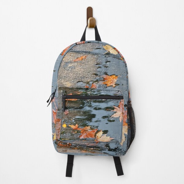 Item preview, Autumn Rain Reflections designed and sold by PanoramaPrints.