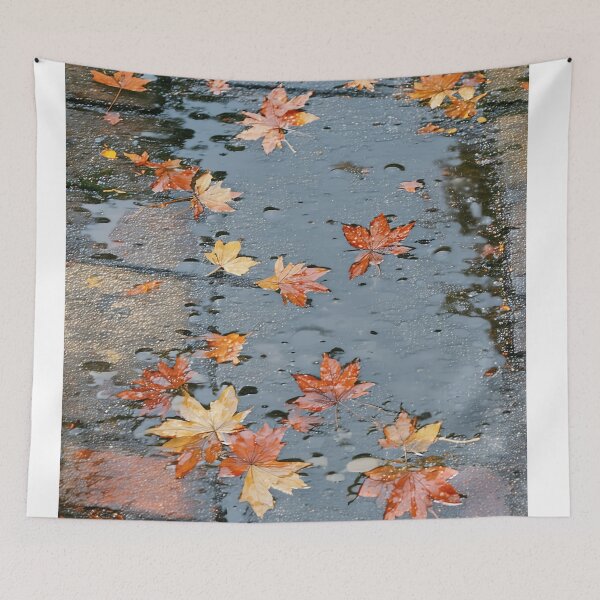 Item preview, Autumn Rain Reflections designed and sold by PanoramaPrints.