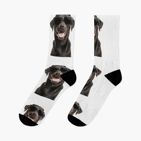 Item preview, Funny cool Black Labrador Retriever Dog wearing sunglasses designed and sold by LazyOwlStore.