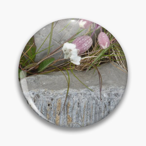 Item preview, past and present designed and sold by KleineChaotin.