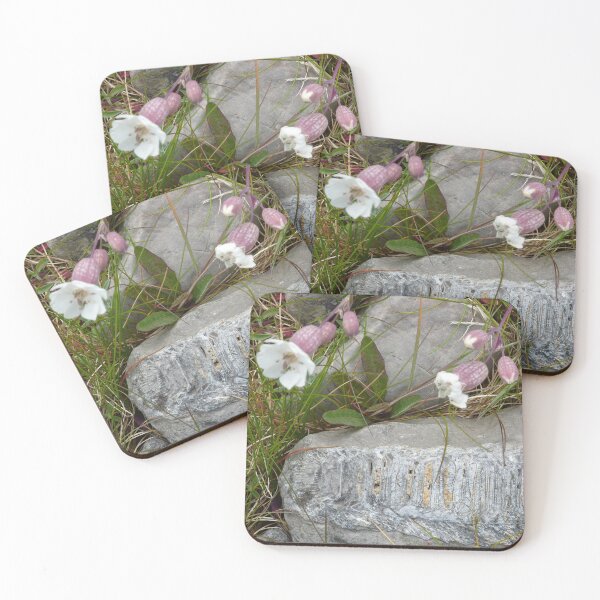 Item preview, past and present designed and sold by KleineChaotin.