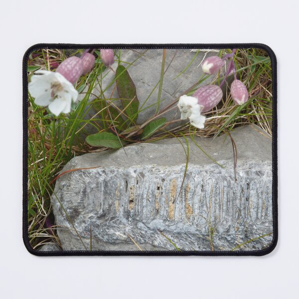 Item preview, past and present designed and sold by KleineChaotin.