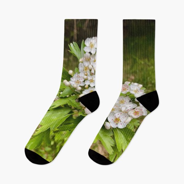 Item preview, white hawthorn flowers in bloom designed and sold by Quoppidou.
