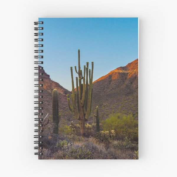 Item preview, Cacti Saguaro designed and sold by Alla Gill.