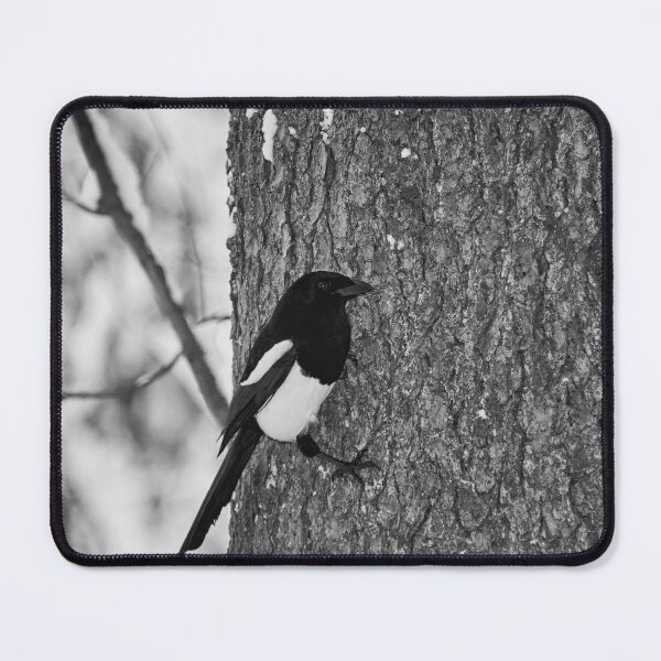 Item preview, Treehugger. Eurasian magpie bw designed and sold by Jouko Lehto Photography.