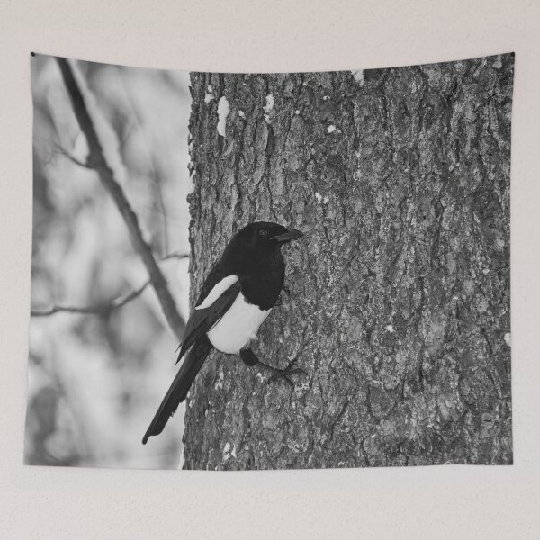 Item preview, Treehugger. Eurasian magpie bw designed and sold by Jouko Lehto Photography.