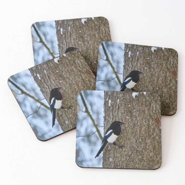 Item preview, Treehugger. Eurasian magpie designed and sold by Jouko Lehto Photography.