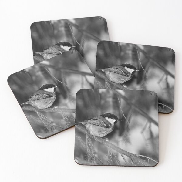Item preview, Coal Tit spruce and snow bw designed and sold by Jouko Lehto Photography.