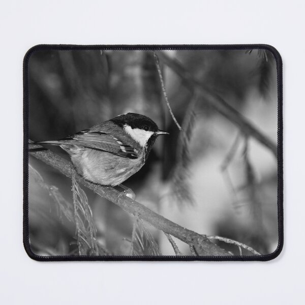Item preview, Coal Tit spruce and snow bw designed and sold by Jouko Lehto Photography.
