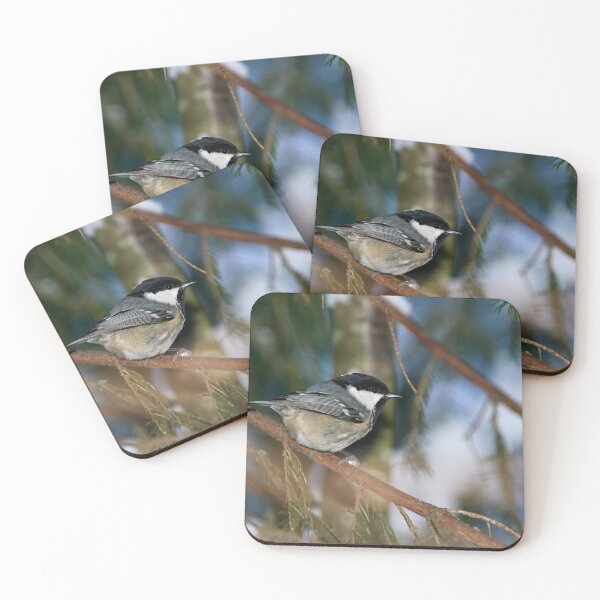 Item preview, Coal Tit spruce and snow designed and sold by Jouko Lehto Photography.
