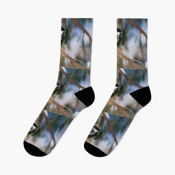 Item preview, Coal Tit spruce and snow designed and sold by Jouko Lehto Photography.