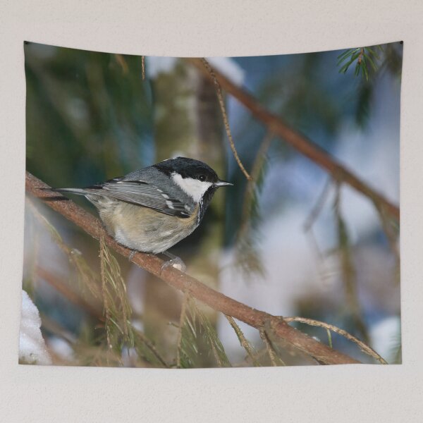Item preview, Coal Tit spruce and snow designed and sold by Jouko Lehto Photography.