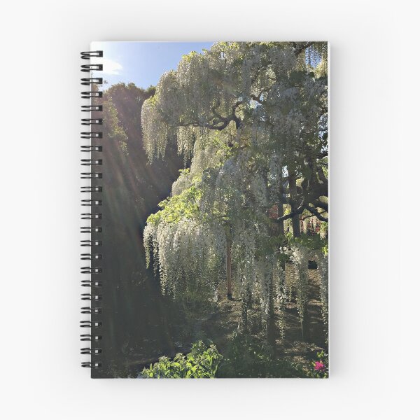 Item preview, Wisteria in the Bright Sun designed and sold by Rustburn.