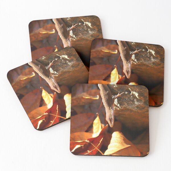Item preview, Anole designed and sold by Parks and X.