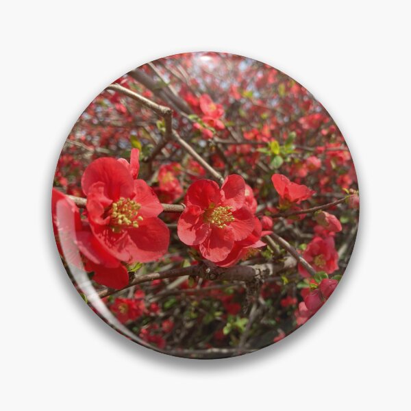 Item preview, Japanese Quince designed and sold by Rustburn.