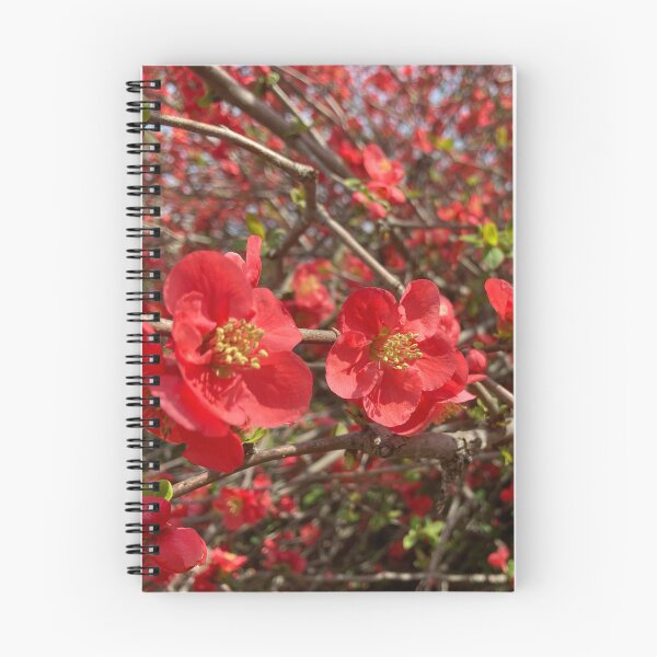 Item preview, Japanese Quince designed and sold by Rustburn.