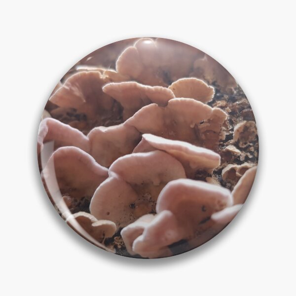 Item preview, Mushrooms designed and sold by KleineChaotin.