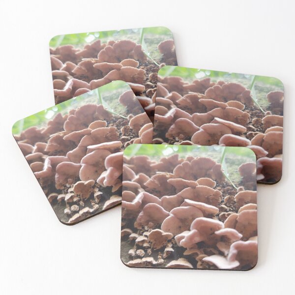 Item preview, Mushrooms designed and sold by KleineChaotin.