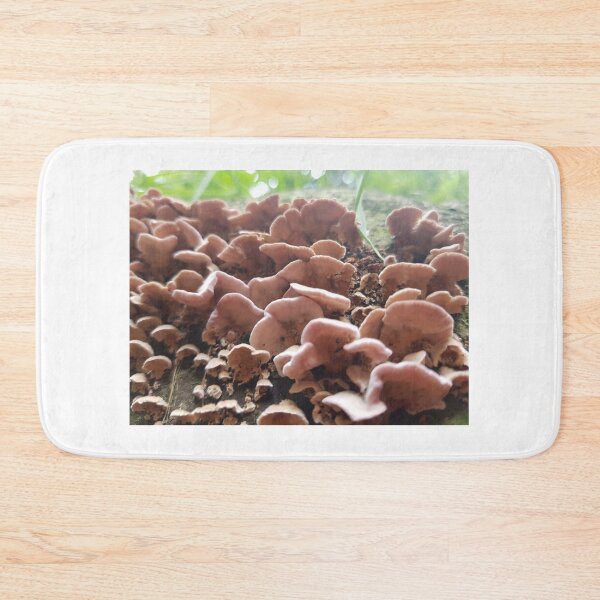 Item preview, Mushrooms designed and sold by KleineChaotin.