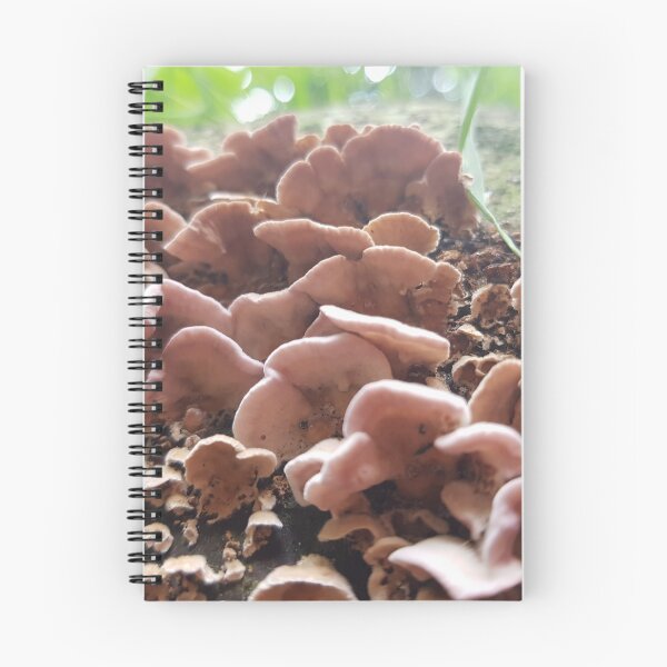 Item preview, Mushrooms designed and sold by KleineChaotin.