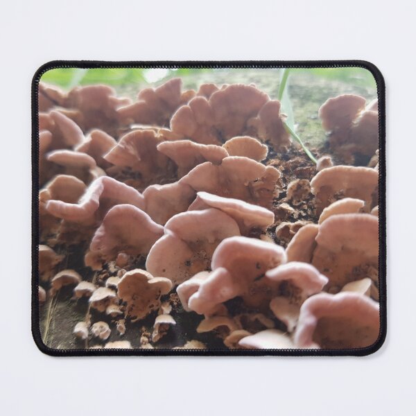 Item preview, Mushrooms designed and sold by KleineChaotin.
