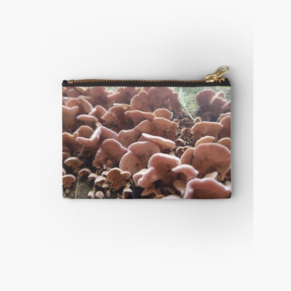 Item preview, Mushrooms designed and sold by KleineChaotin.