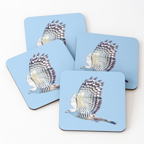 Item preview, Pacific Baza Flying Black Alternate Design  designed and sold by designsasstultd.