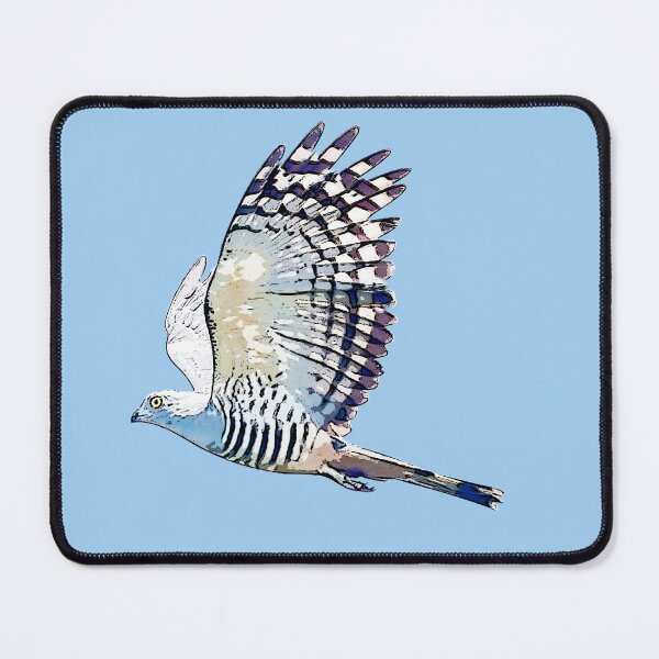Item preview, Pacific Baza Flying Black Alternate Design  designed and sold by designsasstultd.