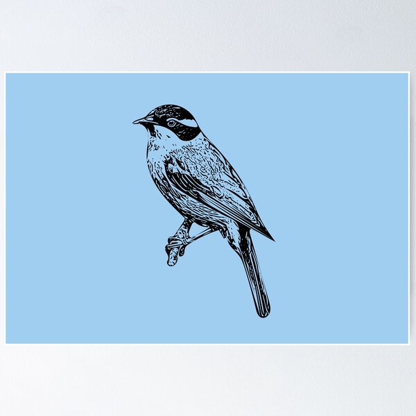 Item preview, Strong-billed Honeyeater Black Design  designed and sold by designsasstultd.