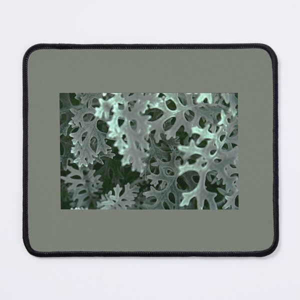 Item preview, Scintillating Christmas: BDCK designed and sold by ArtMat.