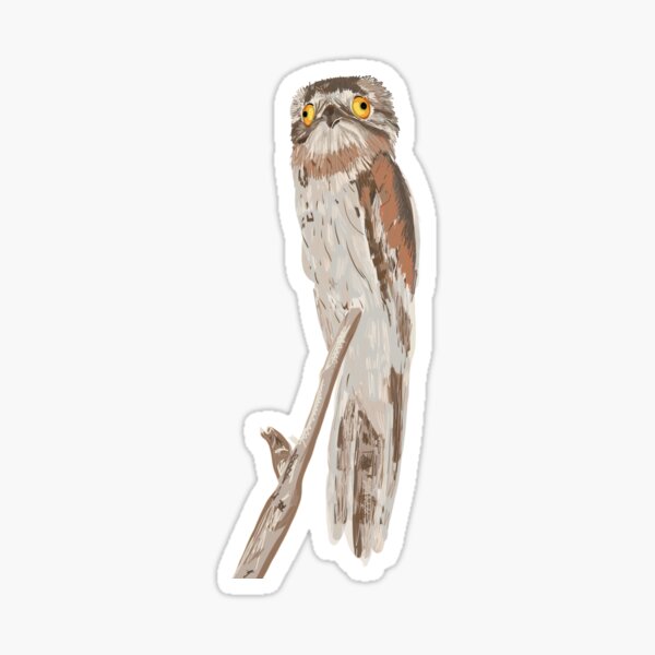 Item preview, Northern Potoo designed and sold by okaymoose.