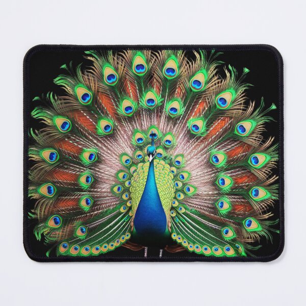 Item preview,  render of a highly detailed peacock designed and sold by aipaint.