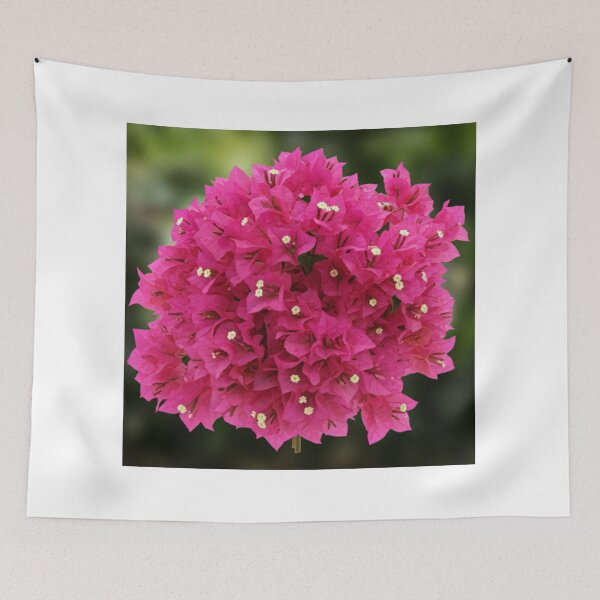 Item preview, Bougainvillea designed and sold by Carmensa67.