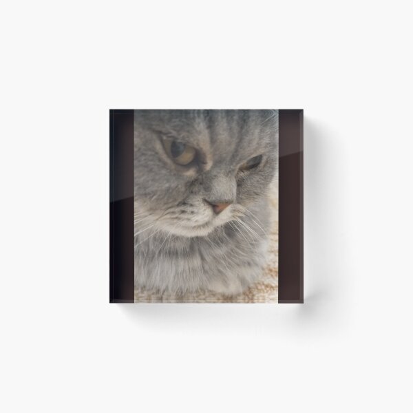 Item preview, Side eye cat designed and sold by Zia’s stronke armzz.