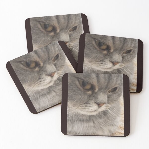 Item preview, Side eye cat designed and sold by Zia’s stronke armzz.