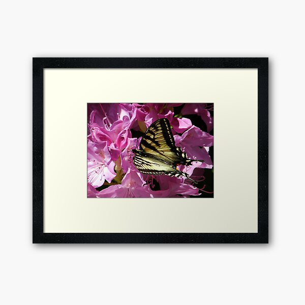 Pretty in Pink Framed Art Print